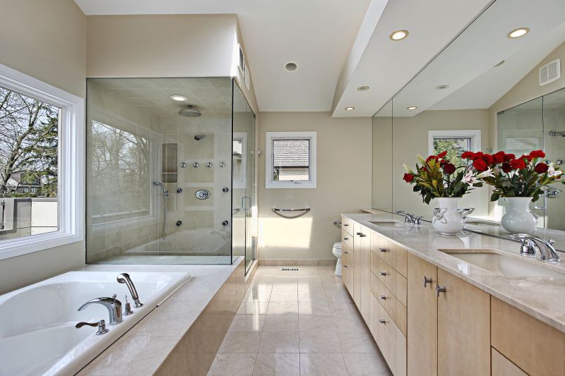 Contemporary Shower Areas